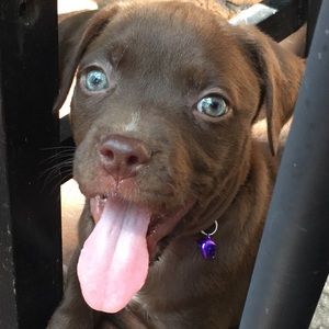 Meet your Posher, Heather